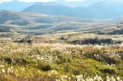 平尾台2022　初冬-01　カルスト台地①