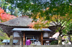 大興善寺2022　11月-5　本堂