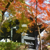 秋月2021　11月-1　黒門③