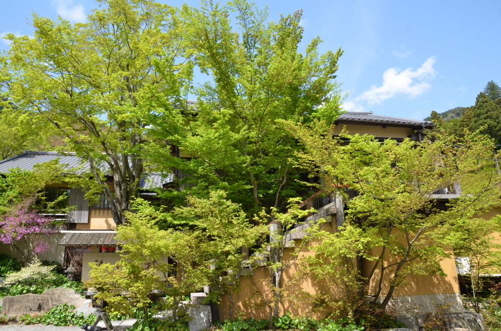 環境芸術の森2023　4月　風遊山荘