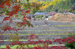 竹棚田2021　11月　石垣と農家