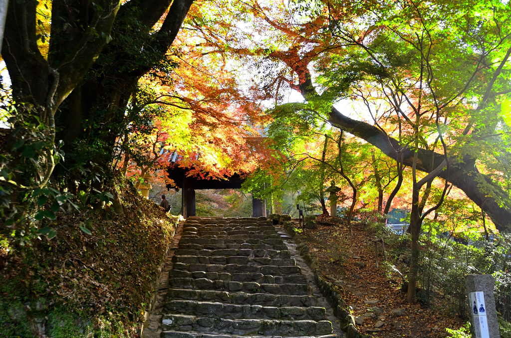 秋月2021　11月-1　黒門①