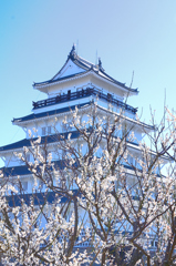 島原城2023　2月-3　白梅と天守閣