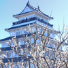 島原城2023　2月-3　白梅と天守閣