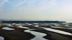 真玉海岸2023　干潟①