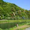 紫川2022-2　こいのぼり川と遊ぶ