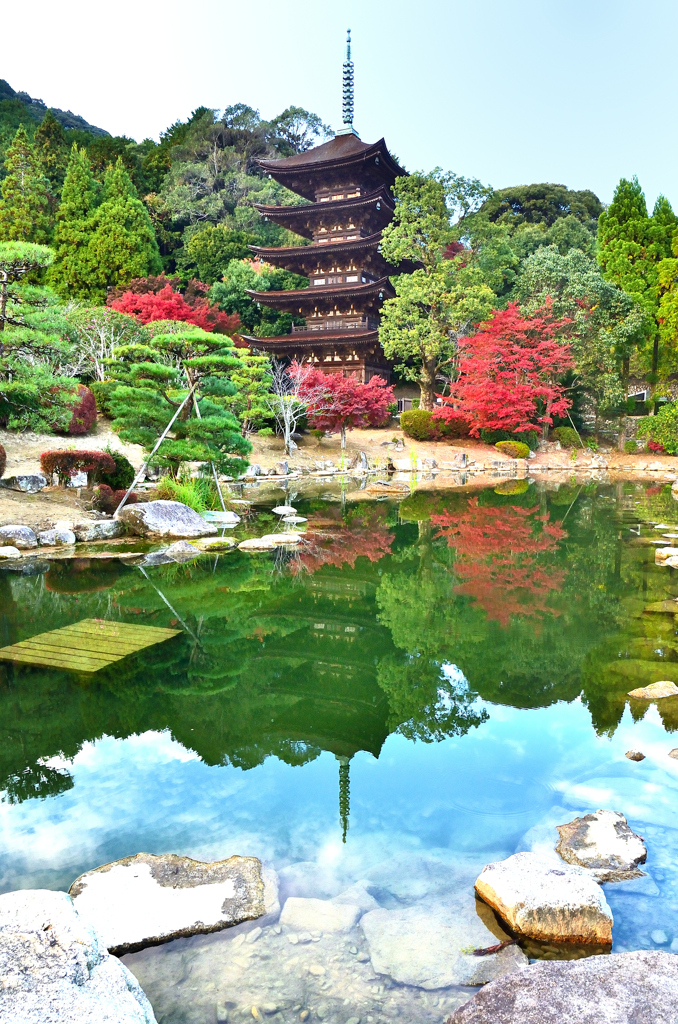 瑠璃光寺2020　11月-2　五重塔リフレクション