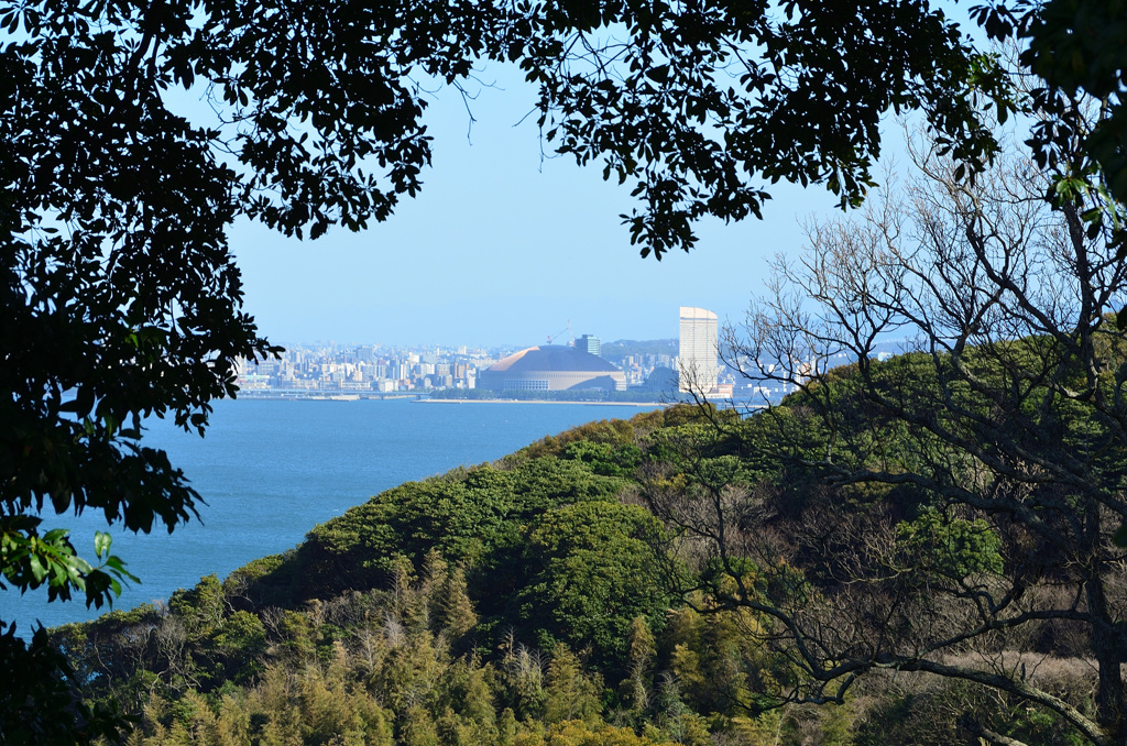 能古島2020　光るpaypayドーム