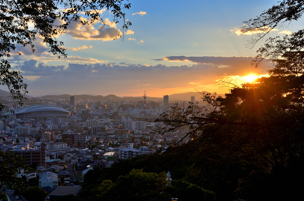 Ｋ市2022　7月　夕陽を浴びて①