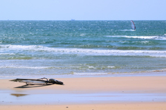 岩屋海岸2022　4月　浜辺のサーフボード