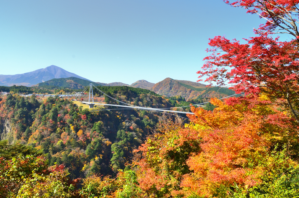 九重夢大吊橋2020　秋-4　紅葉と吊橋