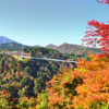 九重夢大吊橋2020　秋-4　紅葉と吊橋
