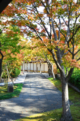 小倉城2022　11月-01　下屋敷　アプローチ