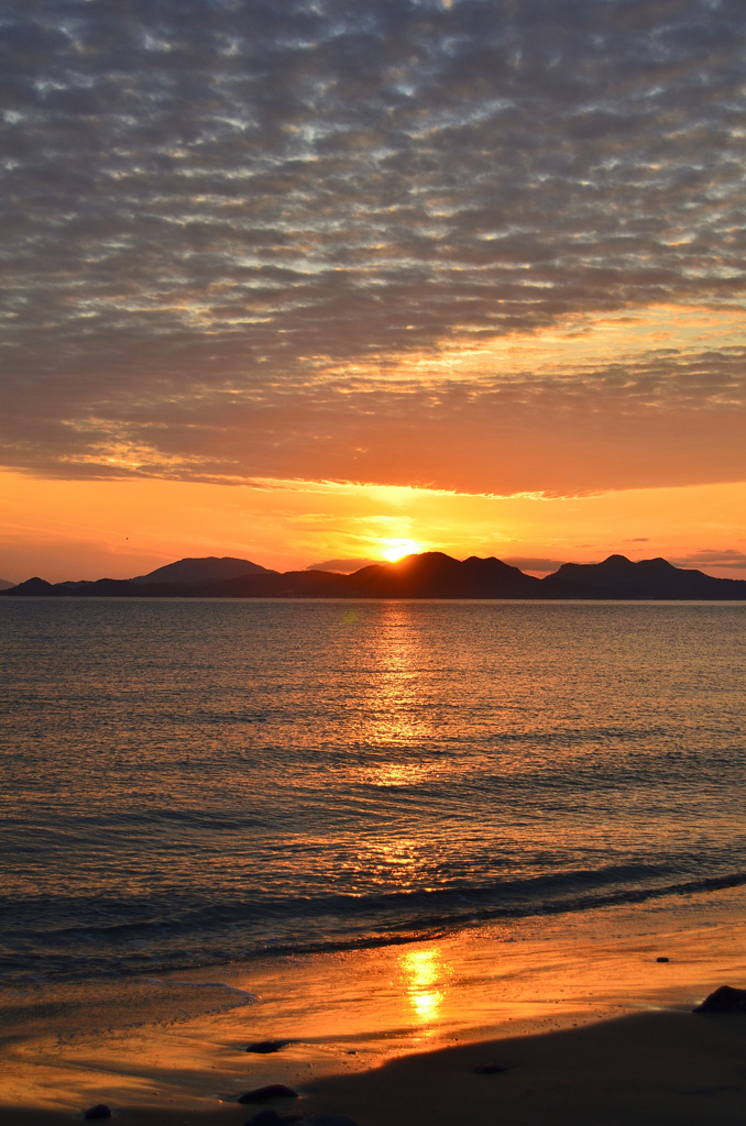 海の中道2020-2　夕陽①