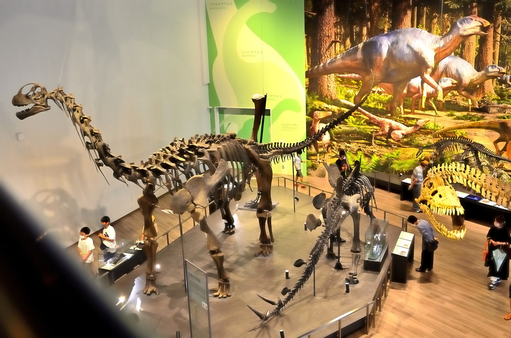 長崎市恐竜博物館2022　恐竜展④
