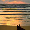 稲砂の浜2020　11月-2　夕陽と流木②