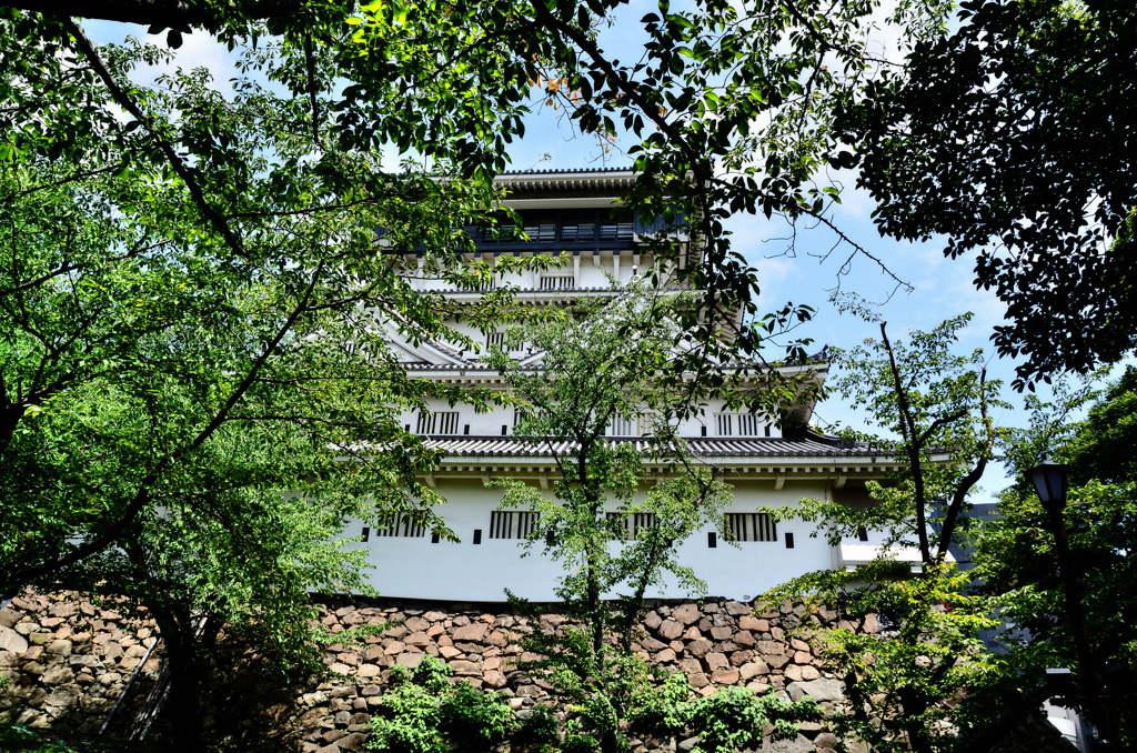 小倉城2019　9月　青葉の桜と天守