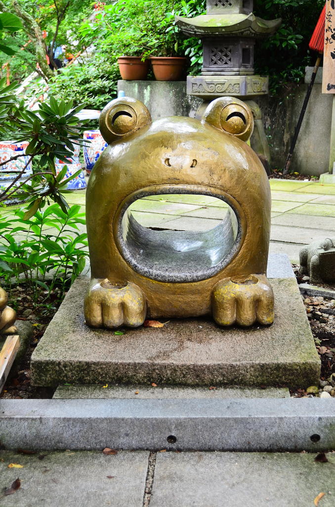 如意輪寺2020　7月-2　蛙　くぐりかえる