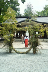 熊本城2020　7月-2　加藤神社　輪潜り