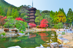 瑠璃光寺2020　11月-3　五重塔と庭園