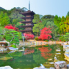 瑠璃光寺2020　11月-3　五重塔と庭園