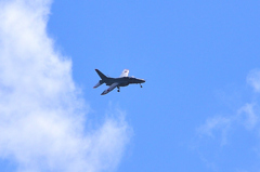 メタセの杜2023　8月-1　T4練習機①