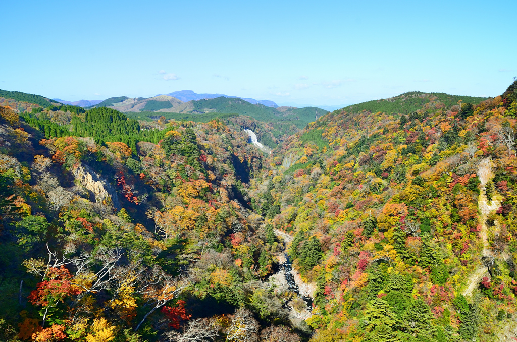 九重夢大吊橋2020　11月-1　橋上より渓谷