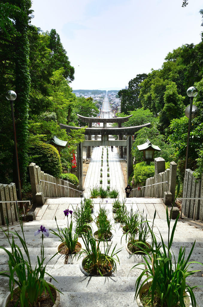 宮地嶽神社2022　5月-1　参道