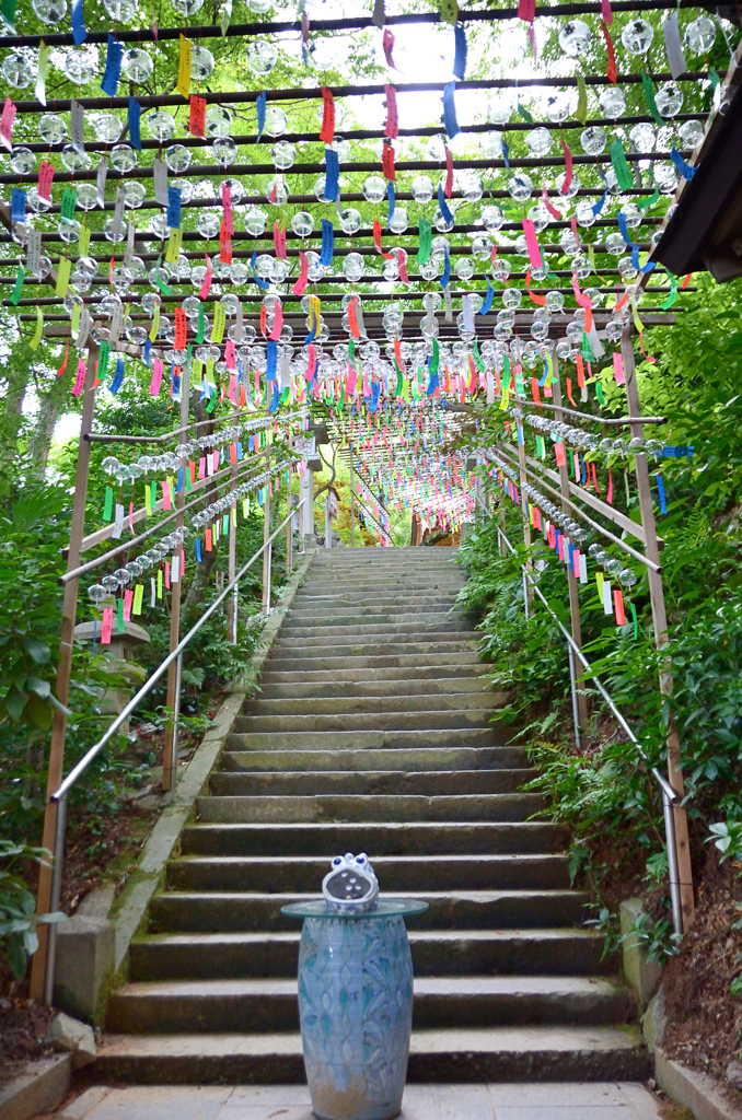如意輪寺2022　8月-2　登り参道