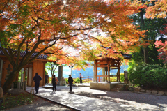 大興善寺2022　11月-5　仁王門と鐘楼