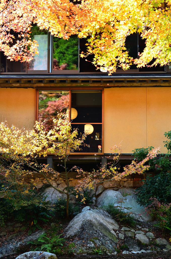 環境芸術の森2020　秋-2　風遊山荘　照明