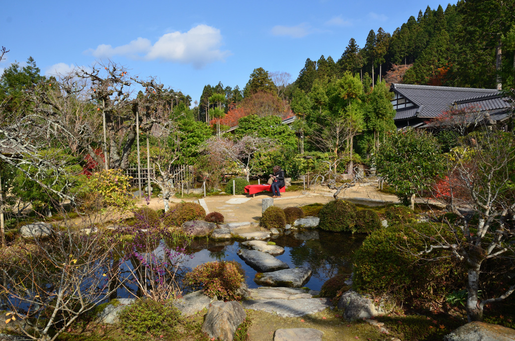 実光院2018-2　回遊式庭園