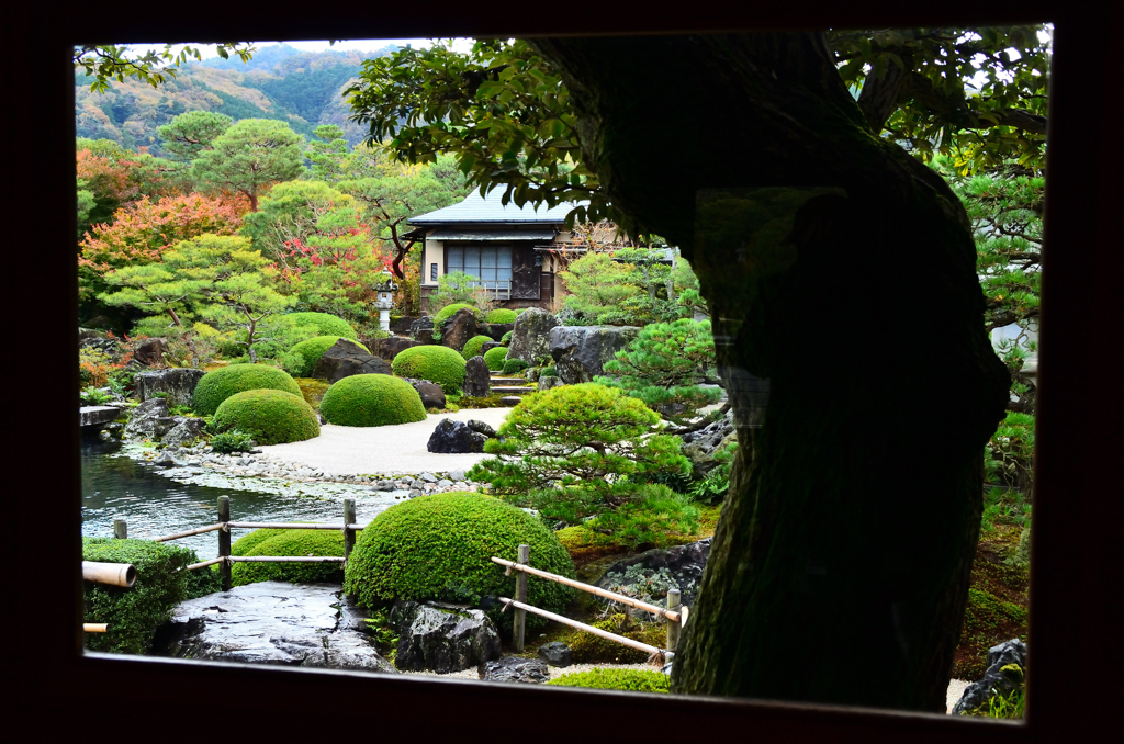 足立美術館2020　11月-3　池庭③