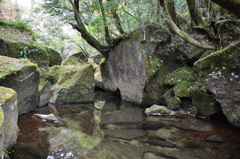 深耶馬渓2018　苔石