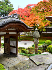 雷山千如寺2019　11月-5　日本庭園