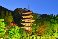 瑠璃光寺2020　11月-3　五重塔　ライトアップ