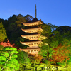 瑠璃光寺2020　11月-3　五重塔　ライトアップ