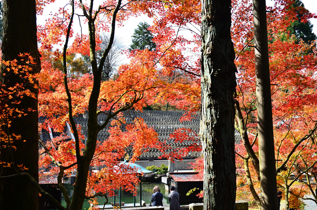 呑山観音寺2019-2　天王院参道より水子地蔵