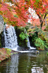 渓石園2018　11月-1　紅葉②