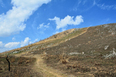 平尾台2020　春　太平山登山道