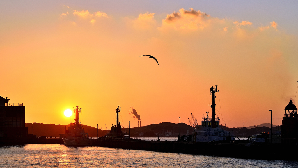 門司港2022　12月-2　夕陽とカモメ