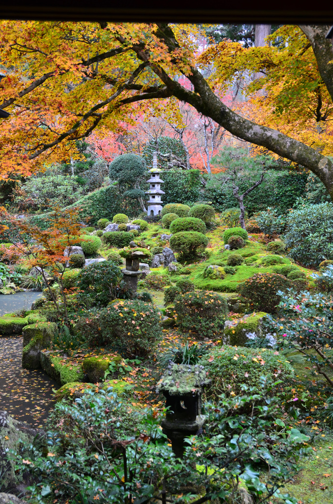 三千院2018-3　聚碧園④