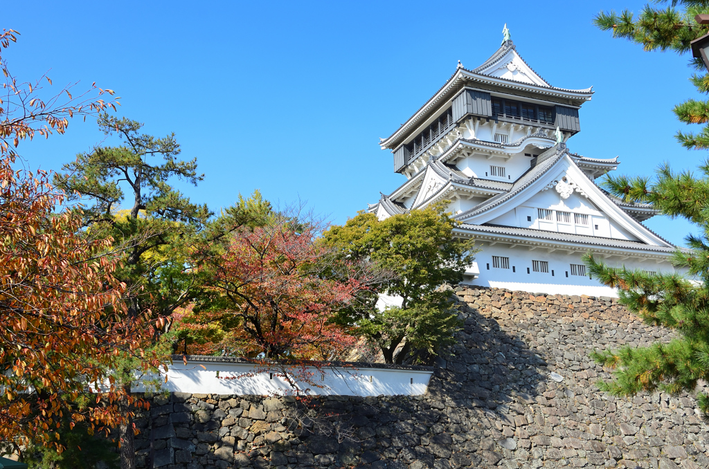 小倉城2022　11月-1　天守閣と桜葉