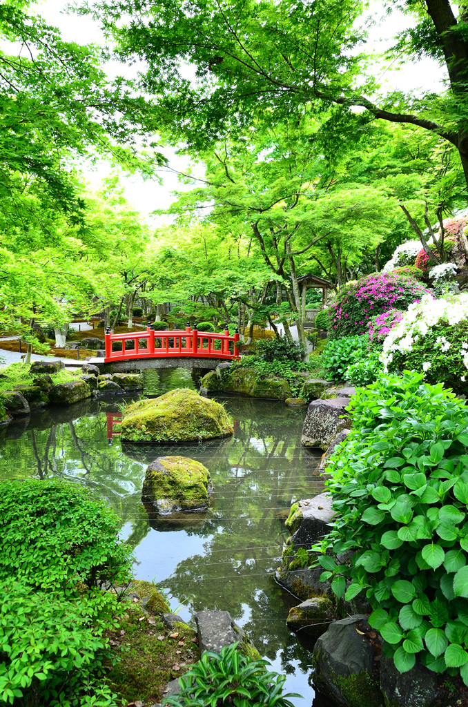 祐徳稲荷神社2019　4月　日本庭園③