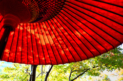 小倉城2022　11月-01　下屋敷　野点傘