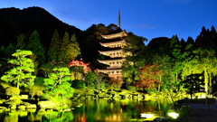 瑠璃光寺2020　秋-02　五重塔ライトアップ②