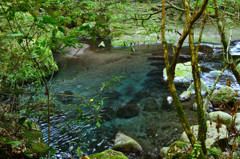 菊池渓谷2019-3　渓流③　