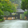雨の金閣寺　参道