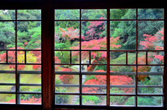 旧松本邸　洋館2023　晩秋-01　2F和室広縁②