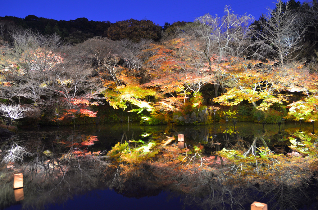 御船山楽園2019-4　秋　大池ﾘﾌﾚｸｼｮﾝ②